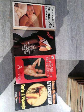 Livre ancien pour adulte