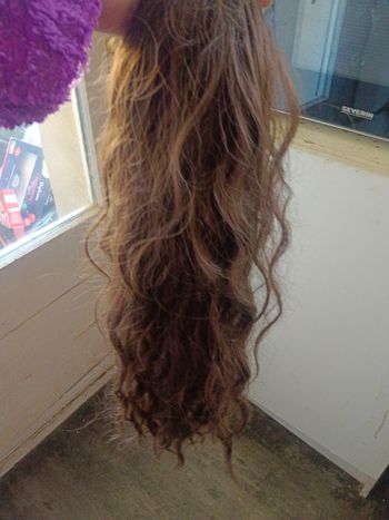 Perruque queue de cheval