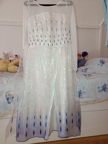 Déguisement Elsa reine des neiges 