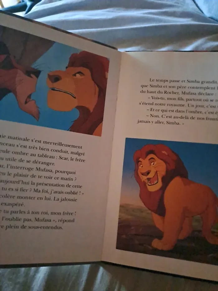 Livre Disney le roi lion - photo numéro 4