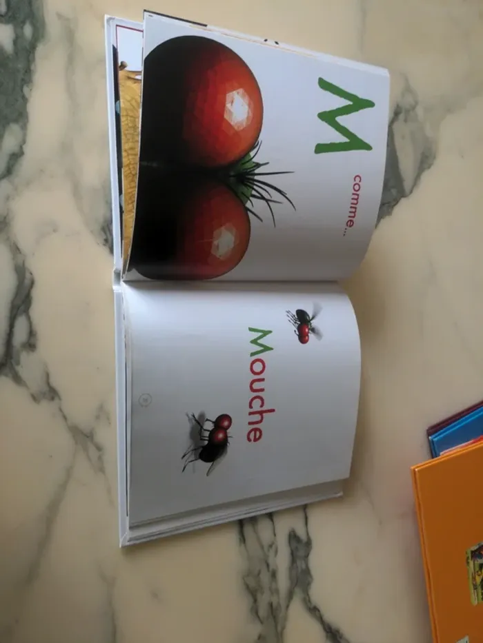 Minuscule L'abécédaire - photo numéro 3