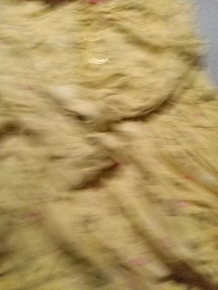 Robe jaune animaux forêt - photo numéro 3