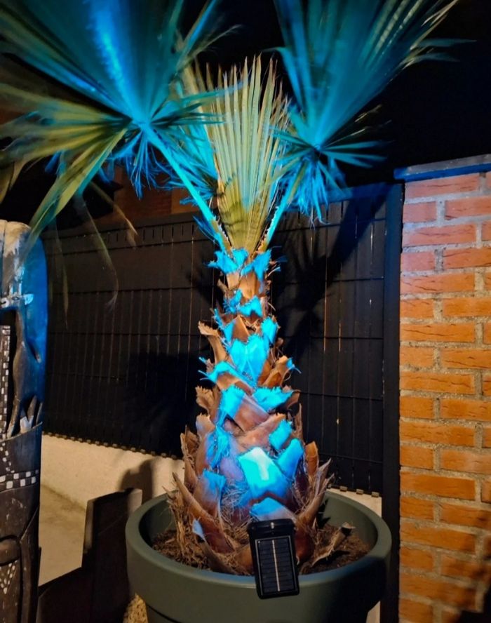 Lumière decorative - photo numéro 2