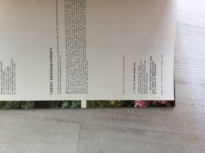 Livre les chats 1975 - photo numéro 5