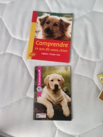Livre sur le chien
