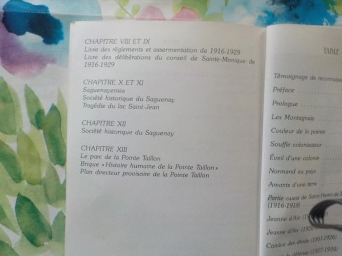 Blessure d'une Terre Récit historique Comité de Promotion de la Pointe Taillon - photo numéro 8