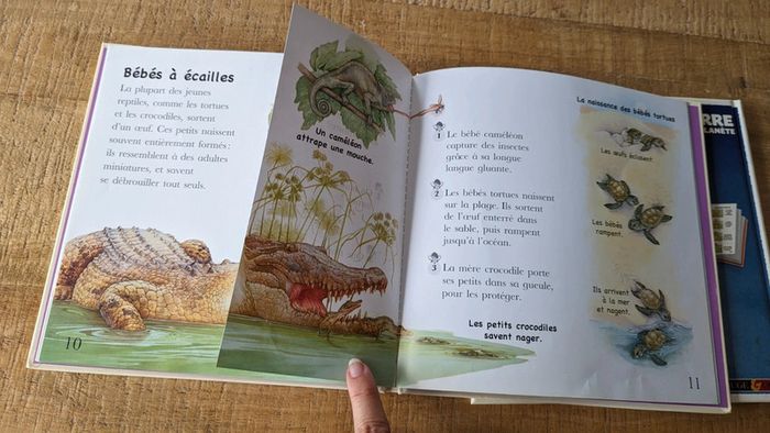 Lot de 2 livres Quizz "Bébés animaux" et "la Terre" - photo numéro 4