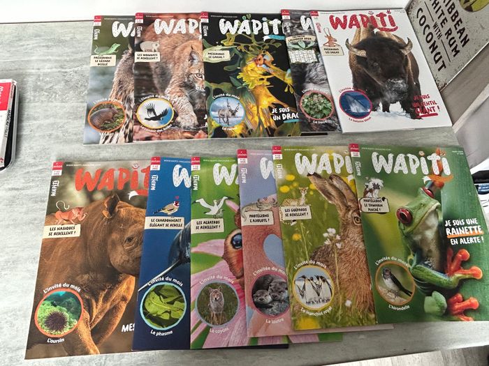 11 magazines wapiti octobre à août 2024