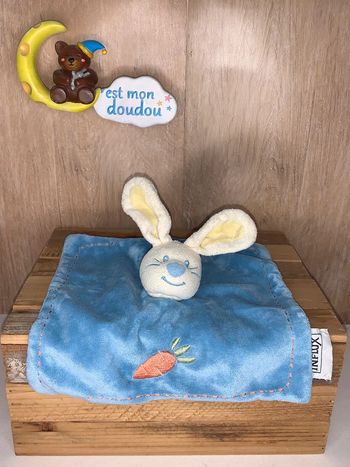 INF18 doudou lapin 🐰 influx