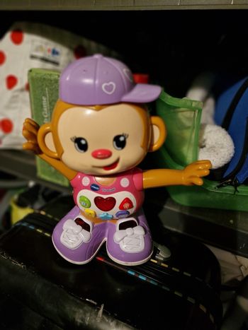 Titi ouistiti v tech