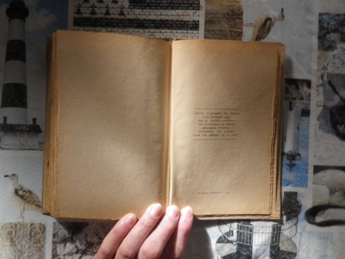 King et les loups-garous de Captain W-E Johns Ed. Presses de la Cité 1948 - photo numéro 5