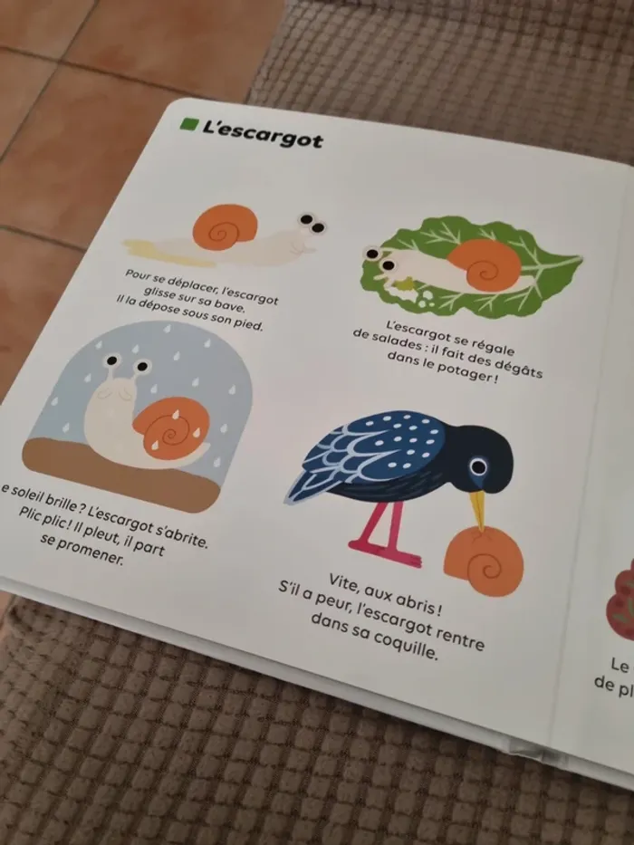 Livre "les petites bêtes " - photo numéro 11