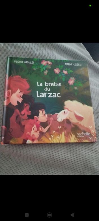 La brebis du larzac