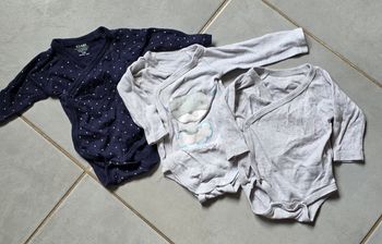 Bodies 