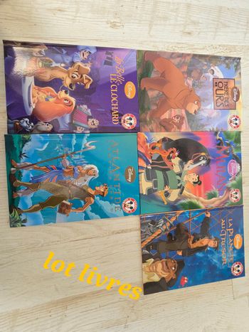 Lot livre disney