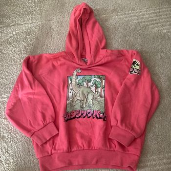 Pull 10 ans jurassic Wormser