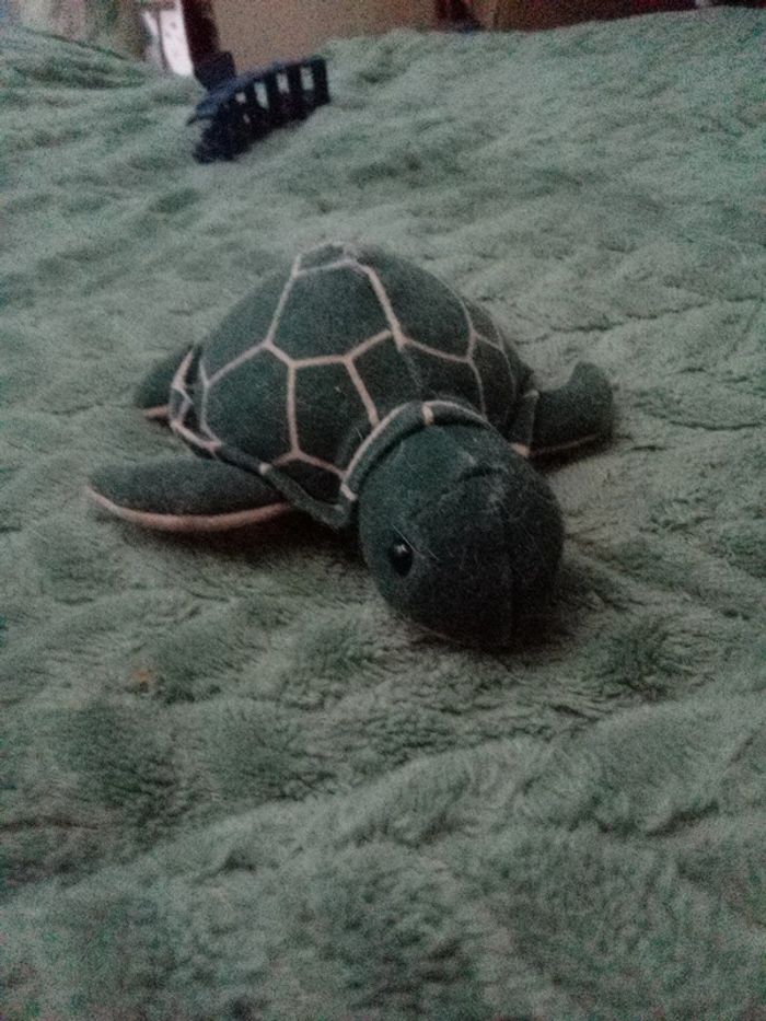 Peluche petite tortue
