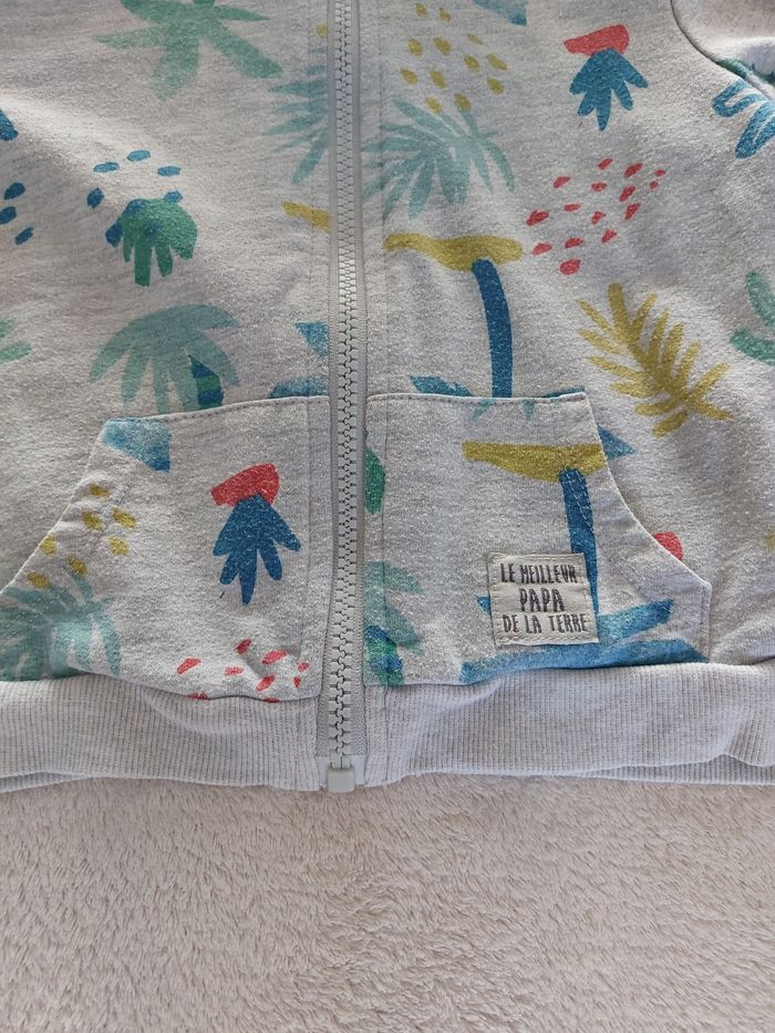 Veste à capuche zippée à motifs 24 mois - photo numéro 3