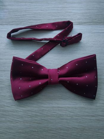 Nœud papillon bordeaux pois argentés 