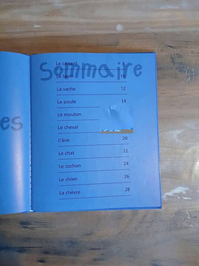 Livre activités manuelles - photo numéro 3