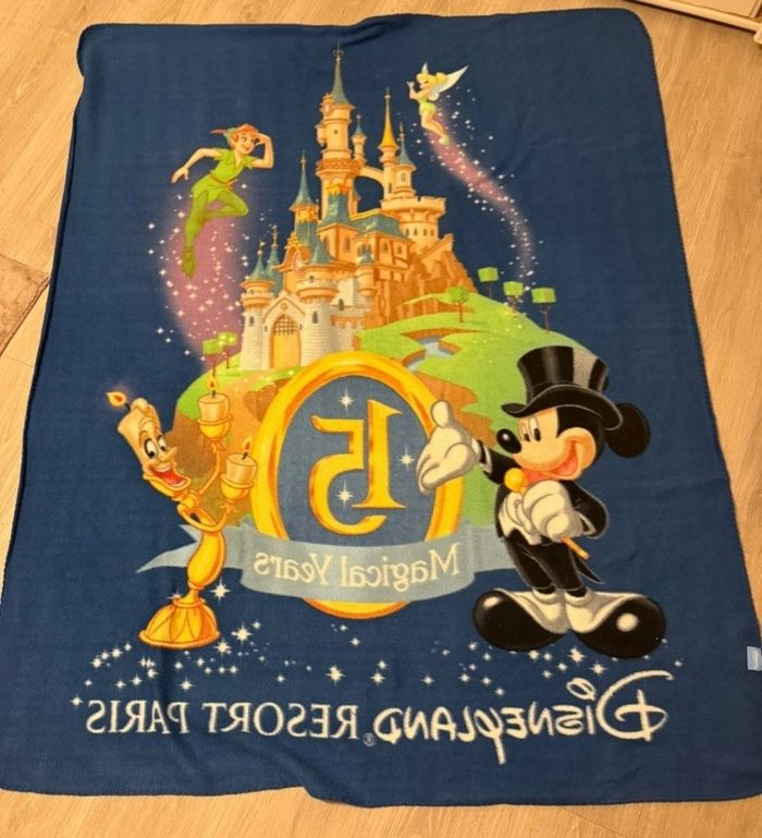 Plaid rare disney 15 ans