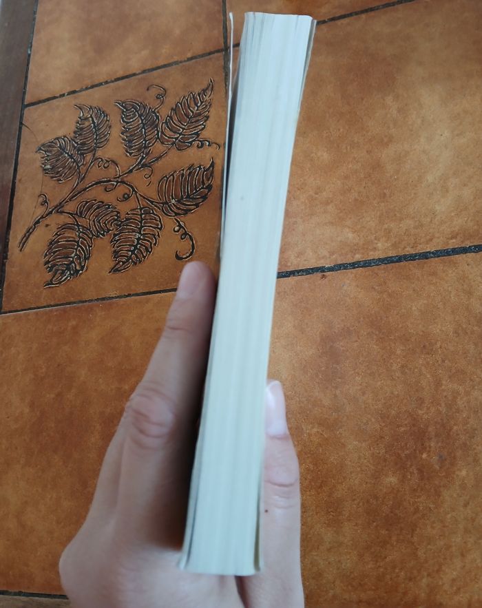 Livre "les voisins" de Danielle Steel - photo numéro 3