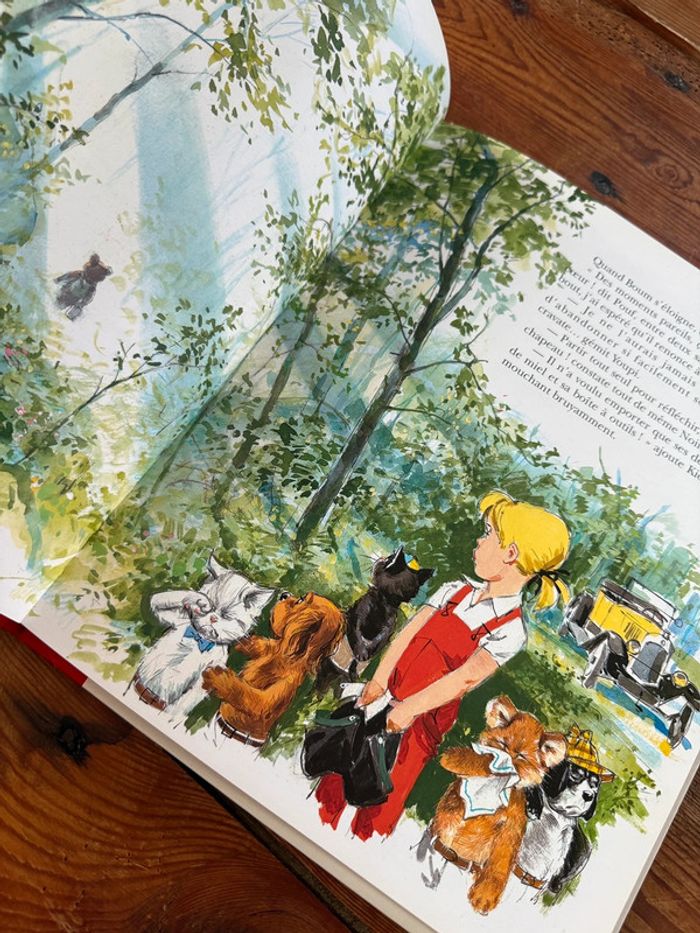 TBE - Livre édition limitée reliure rouge Caroline et Boum ermite Pierre Probst bd - photo numéro 2