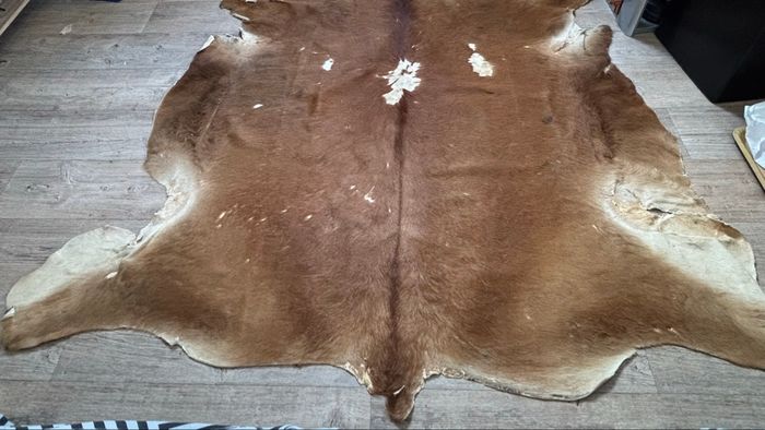 Tapis de vache - photo numéro 5