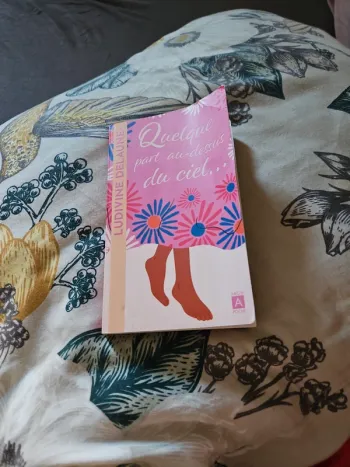 Livre Ludivine Delaune