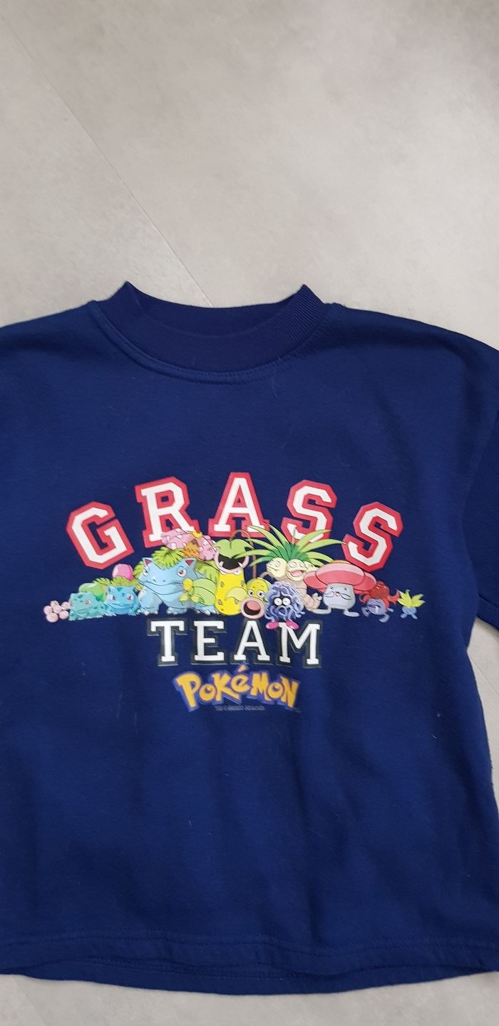Sweat pokemon 8 ans - photo numéro 2