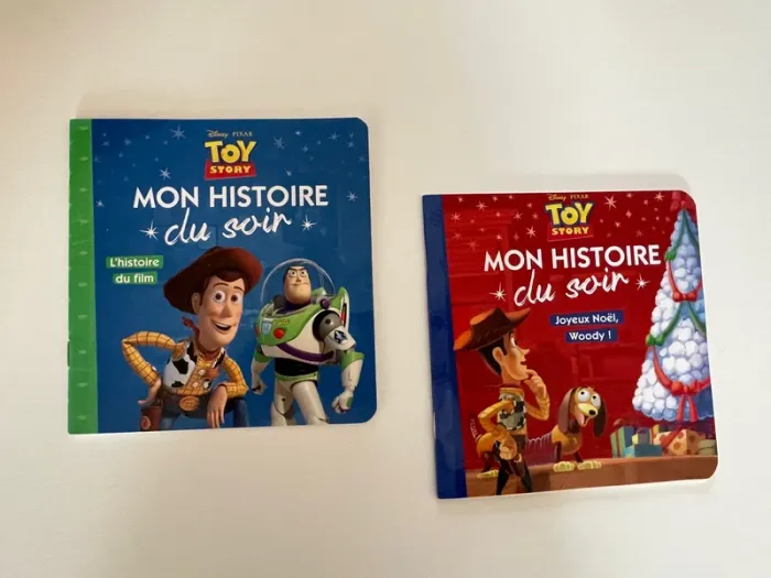 Lot de 2 livres toy story