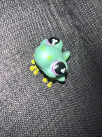 Pet shop grenouille #479