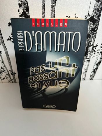 Livre Pas Un Passant En Vue