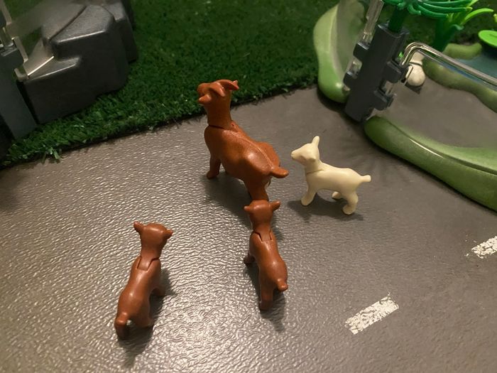 Zoo Asiatique Playmobil - photo numéro 7