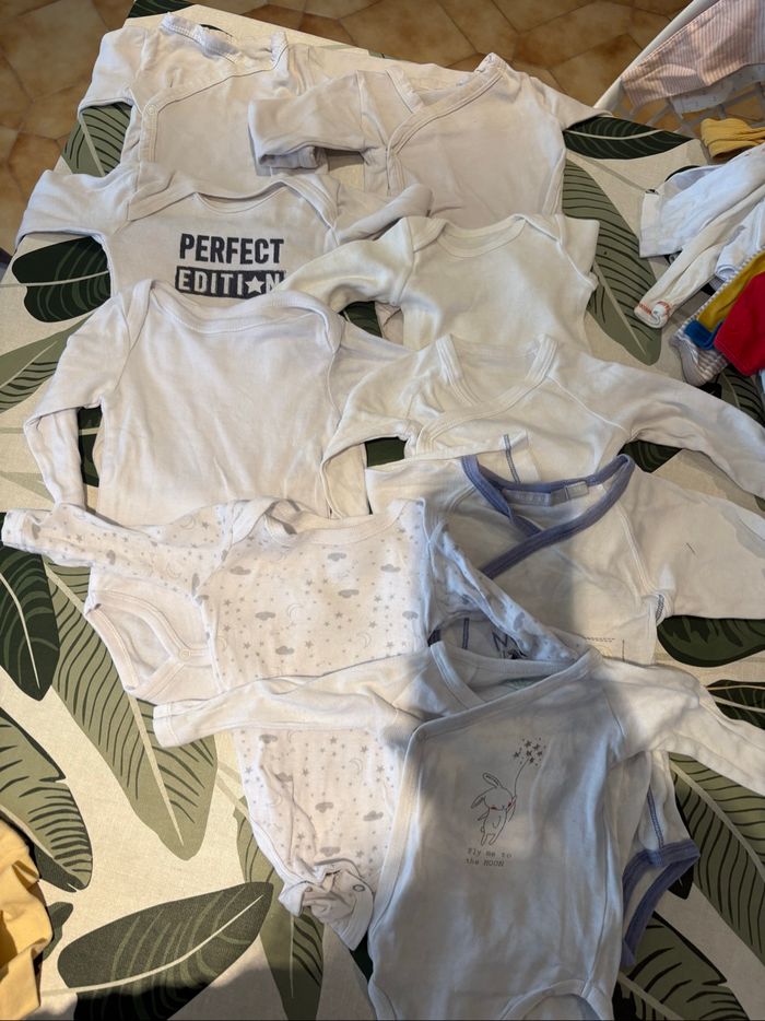 Lot 9 bodies