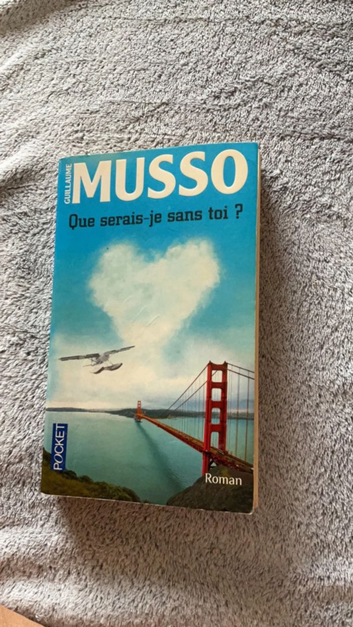 #que serais je sans toi Musso - photo numéro 2