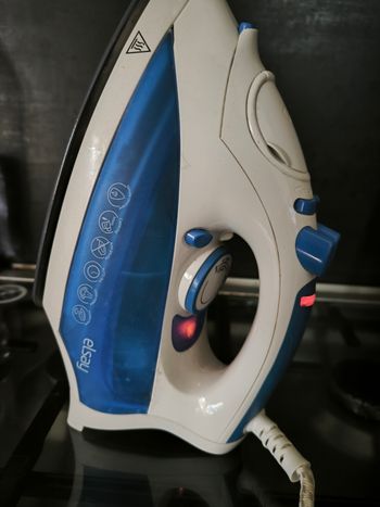 Fer a repasser elsay