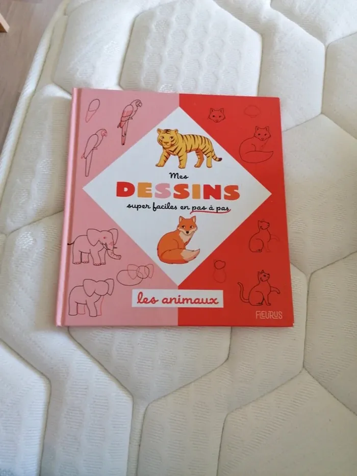 Livre pour apprendre à dessiner