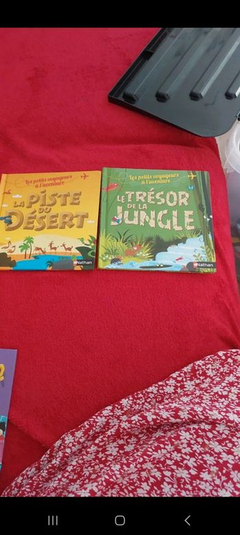 Livre les petits voyageur a l'aventure