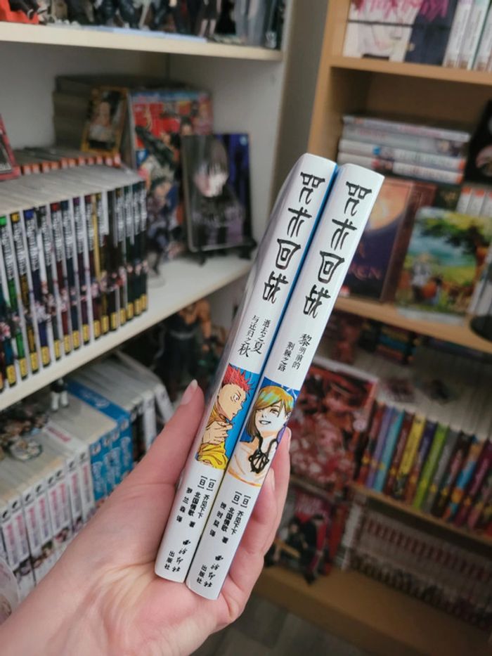 Intégrale en 2 tomes du roman du manga jujutsu kaisen - photo numéro 4