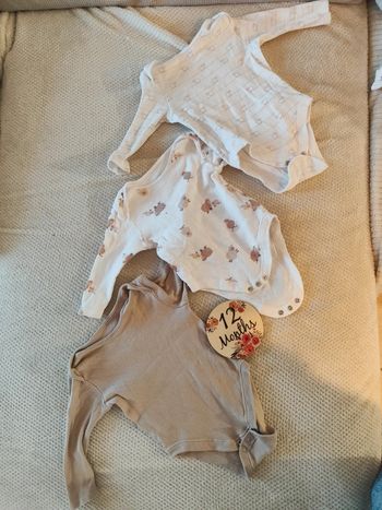 Lot 3 bodies mixte 12 mois