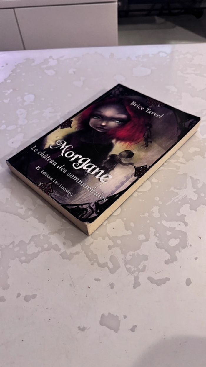 Morgane - Le château des somnambules - Brice Tarvel (Éditions Les Lucioles) - photo numéro 2