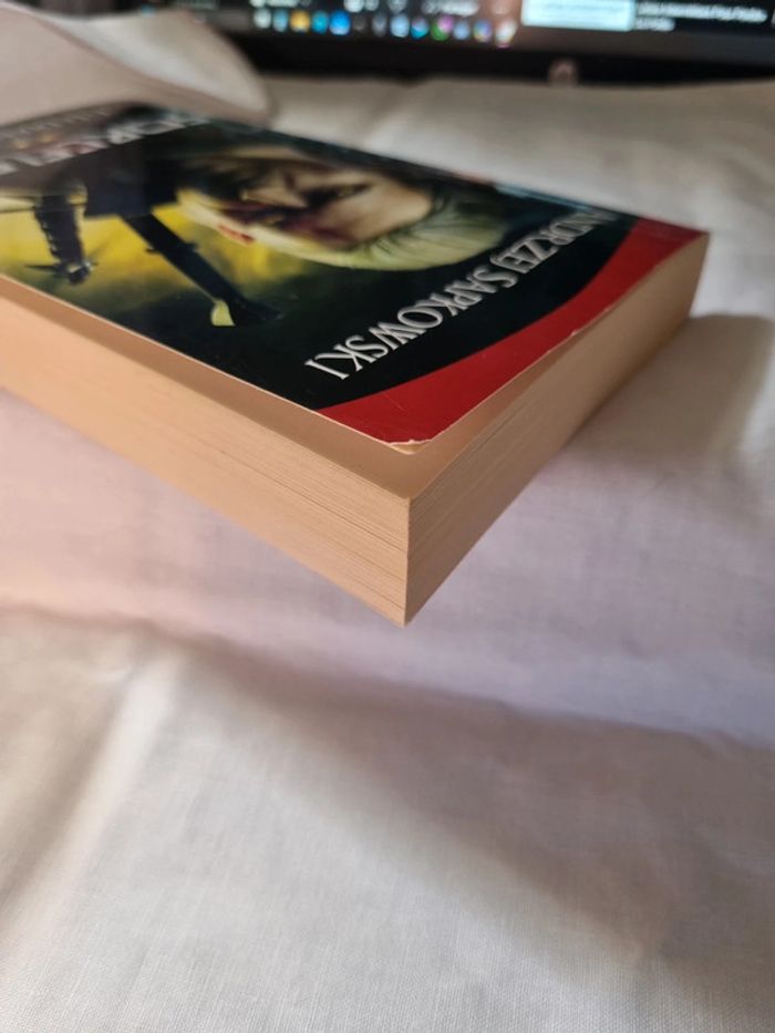 Sorceleur tome 1 le dernier vœu - photo numéro 4