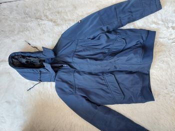 Manteau Hilfiger Denim Bleu