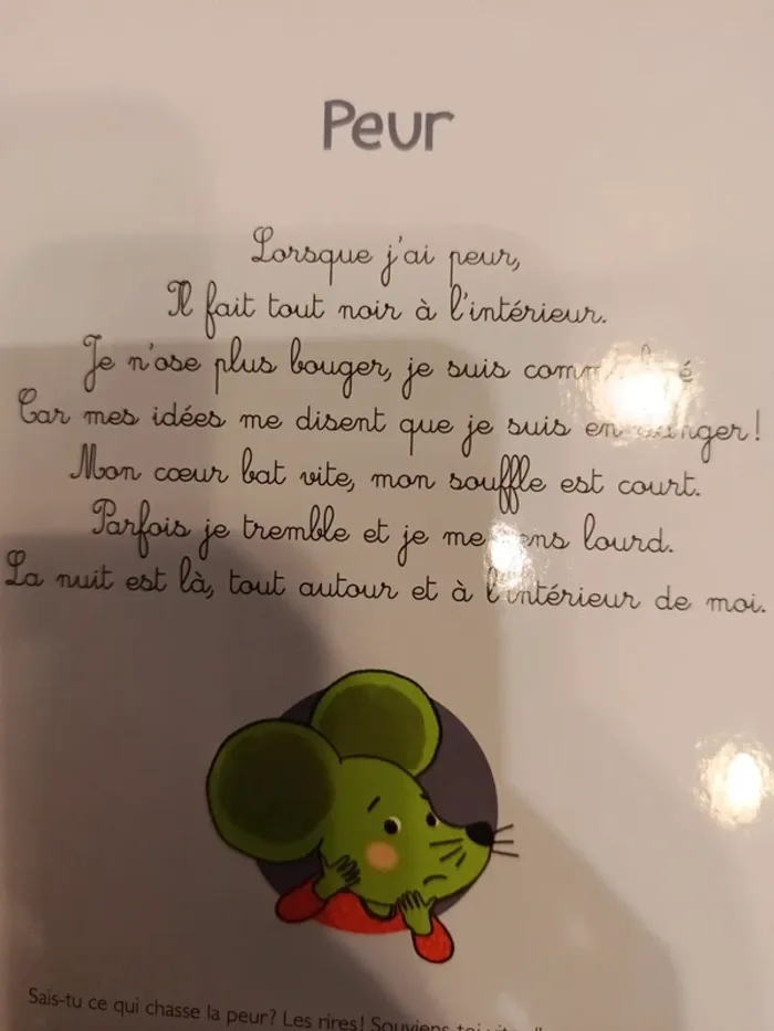 Livre sonore le livre de mes émotions - photo numéro 10