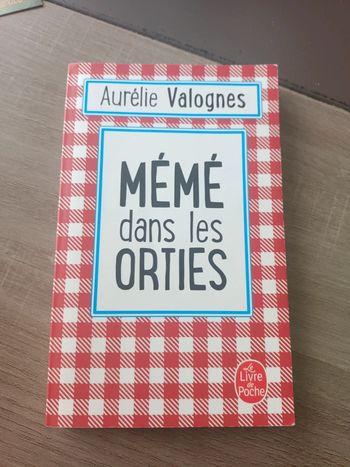 Livre mémé dans les orties Aurelie Valognes