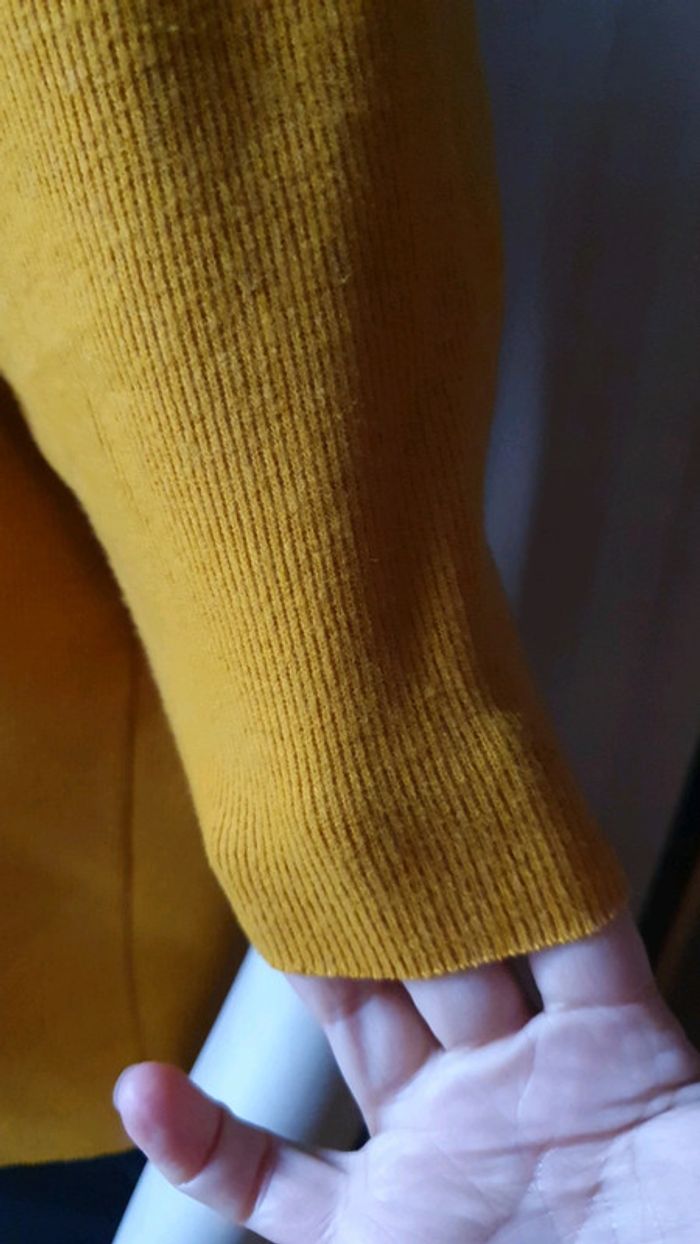 Pull court - photo numéro 7