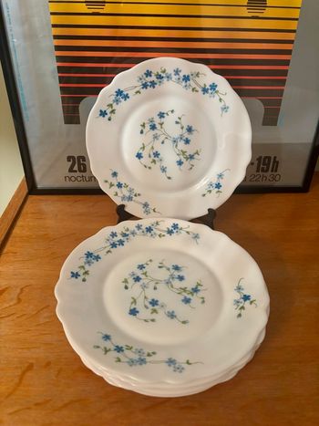 Vintage lot de 6 assiettes Arcopal véronica myosotis
