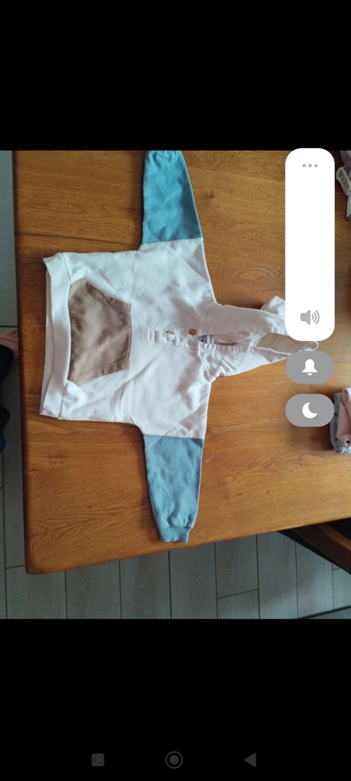 Pull manches longues avec capuche 12 mois - photo numéro 2