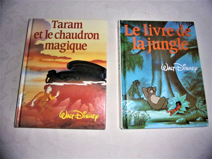 Lot de 2 livres Disney - neuf